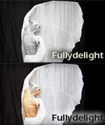 Fullydelight