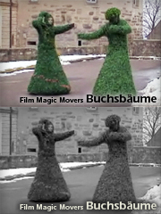 Film Buchsbaeume
