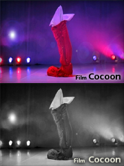 Film Cocoon