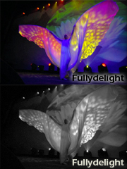 fullydelight