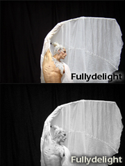 fullydelight