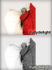 fullydelight