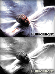 fullydelight