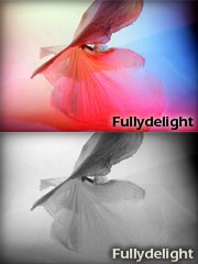 fullydelight