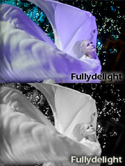 fullydelight