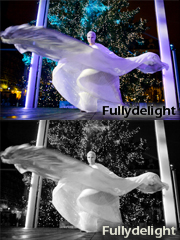 fullydelight