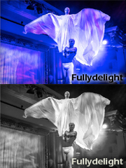 fullydelight