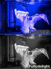 fullydelight
