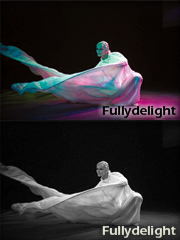 fullydelight