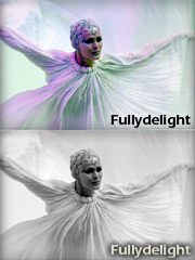 fullydelight